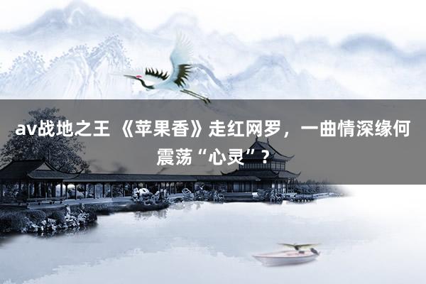 av战地之王 《苹果香》走红网罗，一曲情深缘何震荡“心灵”？
