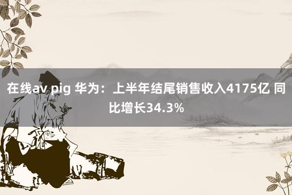 在线av pig 华为：上半年结尾销售收入4175亿 同比增长34.3%