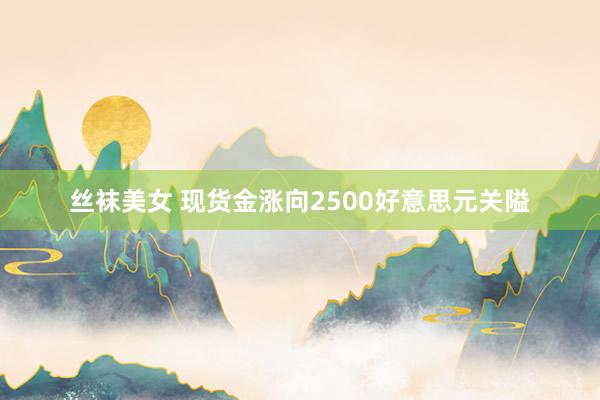 丝袜美女 现货金涨向2500好意思元关隘
