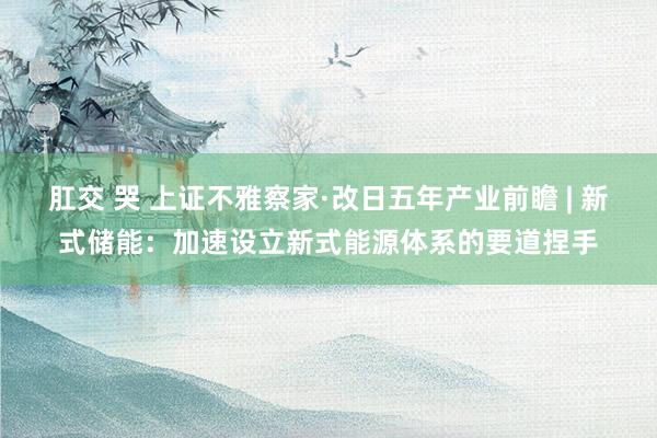 肛交 哭 上证不雅察家·改日五年产业前瞻 | 新式储能：加速设立新式能源体系的要道捏手