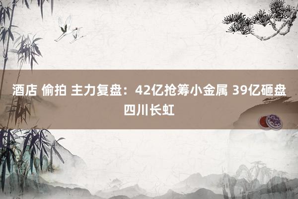 酒店 偷拍 主力复盘：42亿抢筹小金属 39亿砸盘四川长虹
