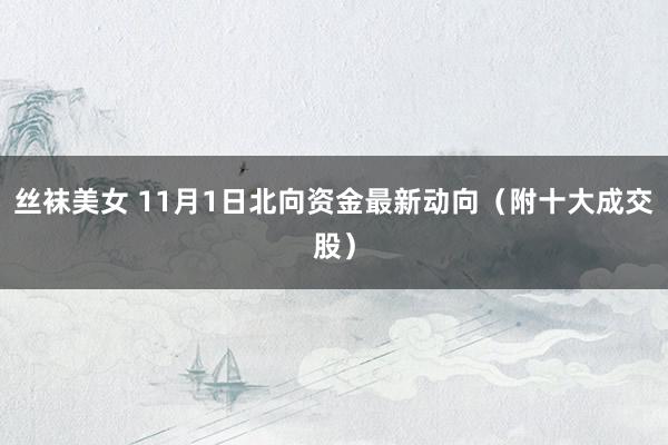 丝袜美女 11月1日北向资金最新动向（附十大成交股）