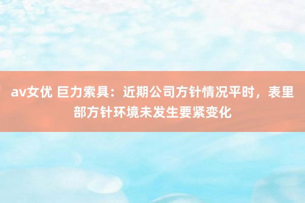 av女优 巨力索具：近期公司方针情况平时，表里部方针环境未发生要紧变化