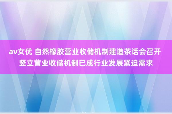 av女优 自然橡胶营业收储机制建造茶话会召开 竖立营业收储机制已成行业发展紧迫需求