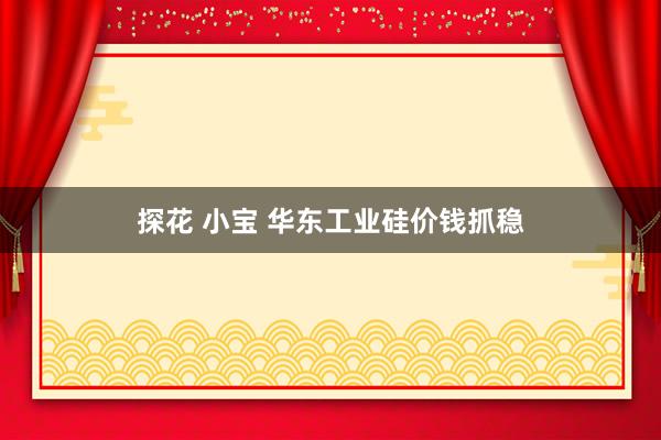 探花 小宝 华东工业硅价钱抓稳